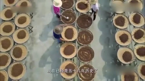 舌尖上的美食 50年传承豆豉厂是食客心中隐匿的大侠,三代传承必出精品